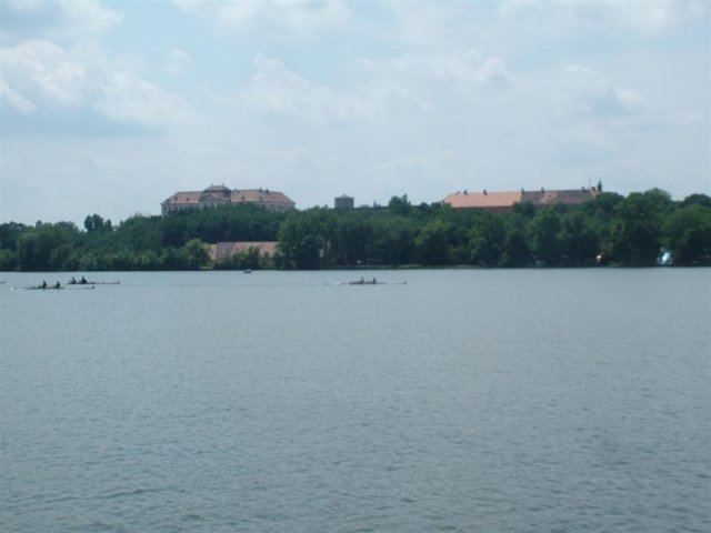 DSCF7341 (Medium)